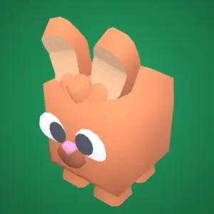 Animal Bunny