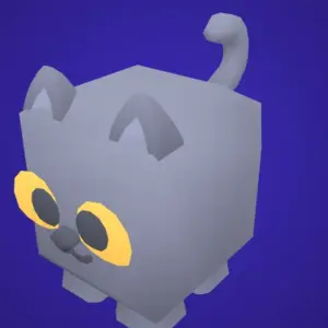 Animal Cat