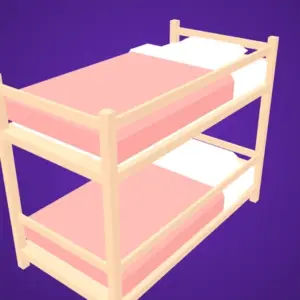 Bed Bunk