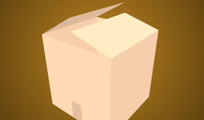 Cardboard Box Closed