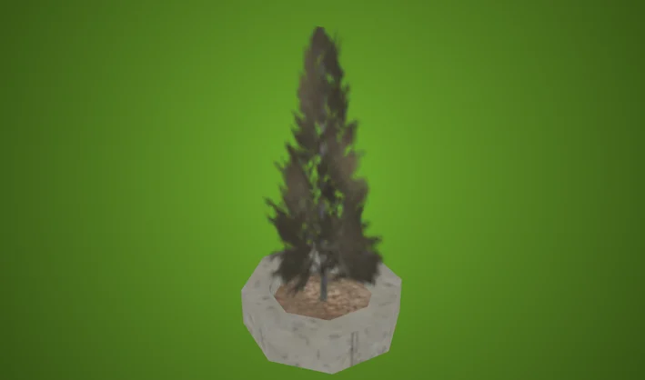 Tree Park Pine Large
