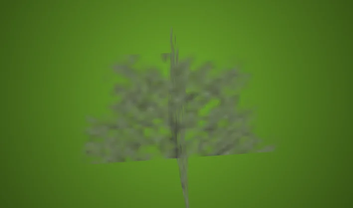 Tree Shrub